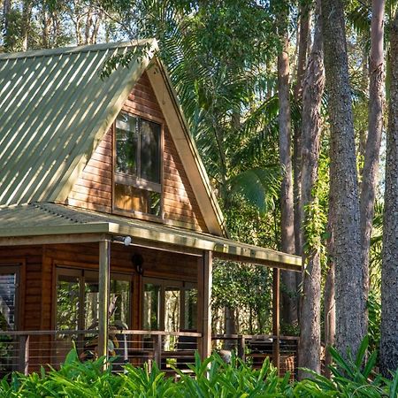 Buddha'S Bungalow Byron Bay Kültér fotó